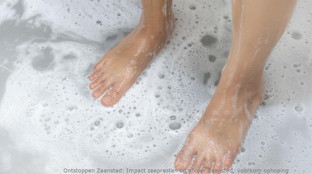 Impact zeepresten op afvoer Zaanstad: voorkom ophoping