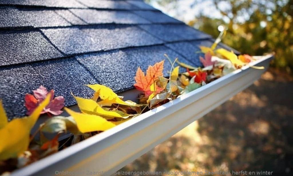 Seizoensgebonden rioolproblemen Zaanstad: herfst en winter