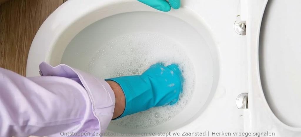 6 tekenen verstopt wc Zaanstad | Herken vroege signalen